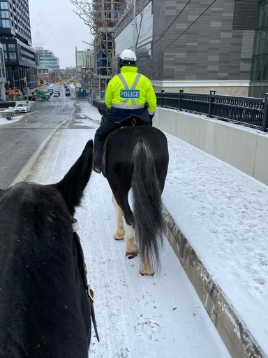 TPSMounted's tweet photo. #PHQueen and #PHChief finally seeing some snow! It appears to officially be winter in #Toronto #bundleup #snowday #stillsmiling #mounted #patrol https://t.co/VXURR9LMIe
