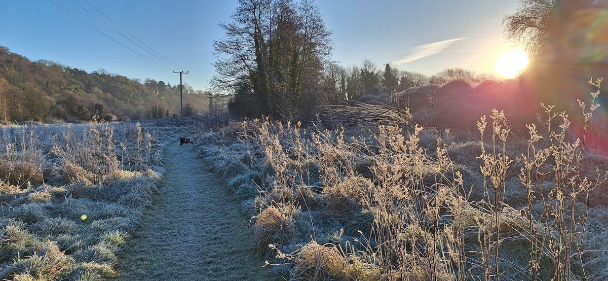 wlhaydock's tweet image. A very frozen Waterstown park this morning. Beautiful 🤩❄️ #dublinparks #palmerstown #localparks #wintermornings