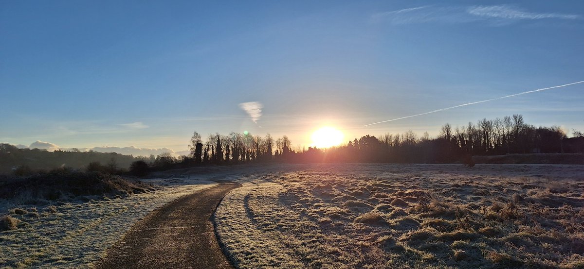 wlhaydock's tweet image. A very frozen Waterstown park this morning. Beautiful 🤩❄️ #dublinparks #palmerstown #localparks #wintermornings