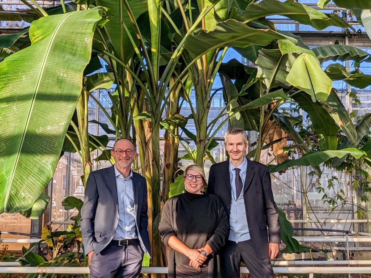 Alliance of Bioversity International and CIAT tweet media