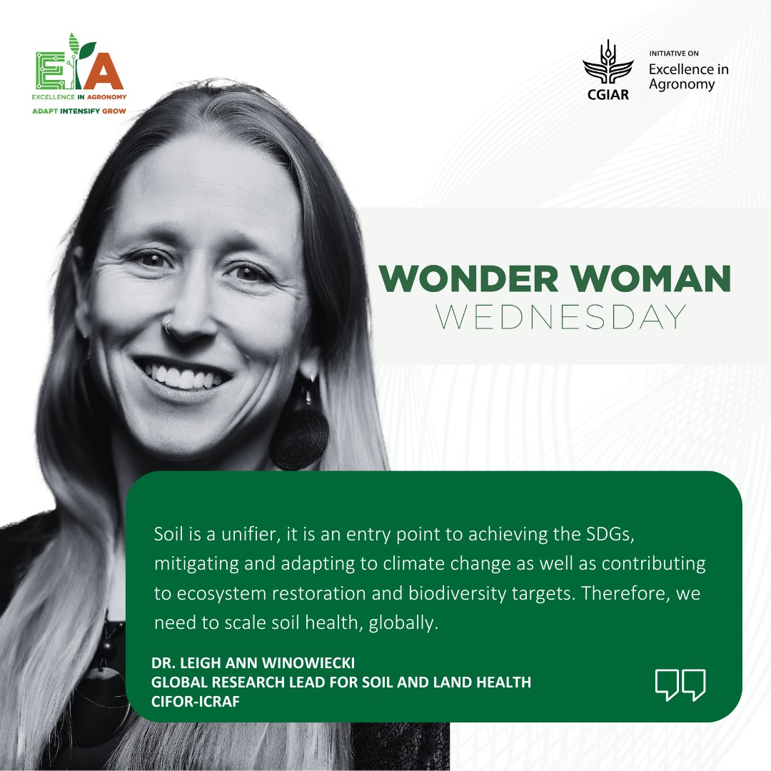 CGIAR Sustainable Farming Science Program (SFSP) (@cgiarfarming) on Twitter photo Meet our Wonder Woman or should we say #Trailblazer: Dr.<a href="/lawinowiecki/">Leigh Ann Winowiecki</a>.
Embarking on a mission to transform soil and land health globally, Dr. <a href="/lawinowiecki/">Leigh Ann Winowiecki</a> is the Global Research Lead for Soil and Land Health at <a href="/CIFOR/">CIFOR</a> -ICRAF, stationed in Nairobi🇰🇪. 💡tinyurl.com/CIFOR-ICRAF Meet our Wonder Woman or should we say #Trailblazer: Dr.<a href="/lawinowiecki/">Leigh Ann Winowiecki</a>.
Embarking on a mission to transform soil and land health globally, Dr. <a href="/lawinowiecki/">Leigh Ann Winowiecki</a> is the Global Research Lead for Soil and Land Health at <a href="/CIFOR/">CIFOR</a> -ICRAF, stationed in Nairobi🇰🇪. 💡tinyurl.com/CIFOR-ICRAF