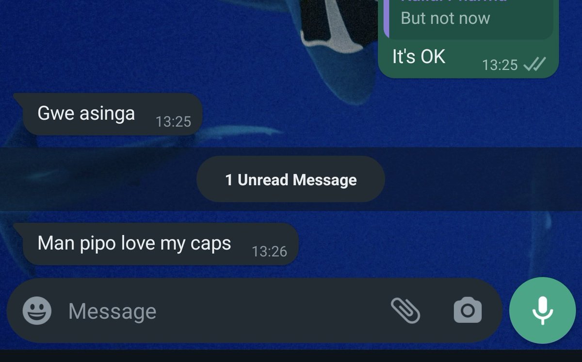 Motion i tweet media