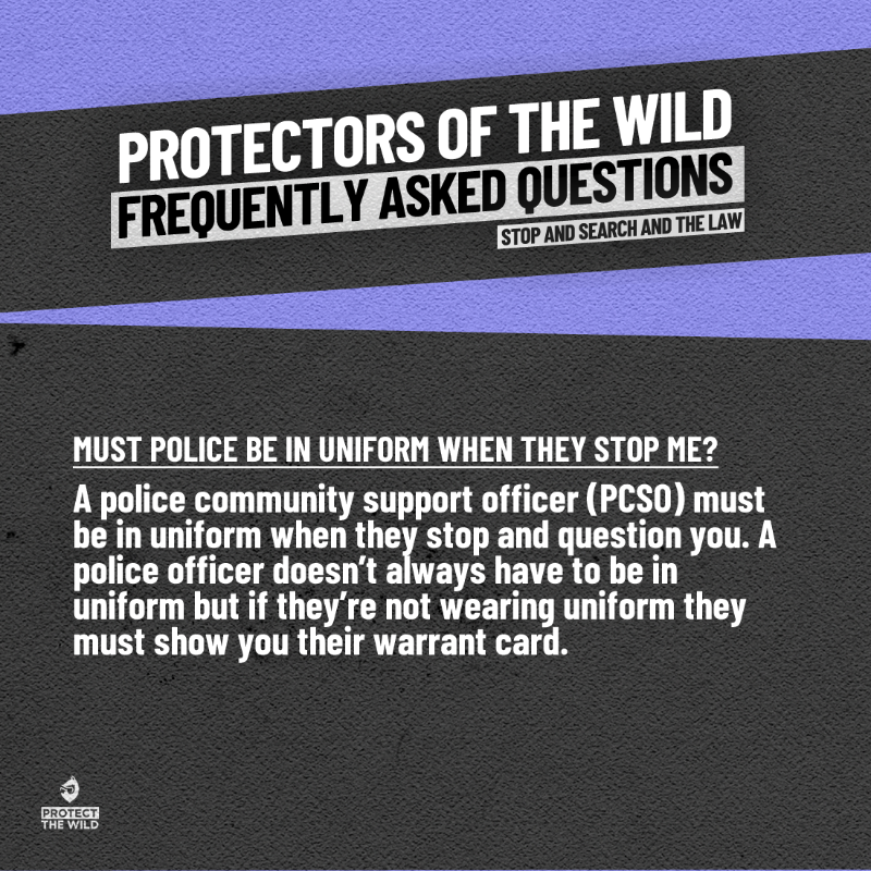 ‘Protectors’ is a project from Protect the Wild and a free resource to help us all become ‘eyes in the field’ by learning how to Recognise, Record, and Report wildlife crime and wildlife persecution. Learn more: protectthewild.org.uk/protectors-of-…