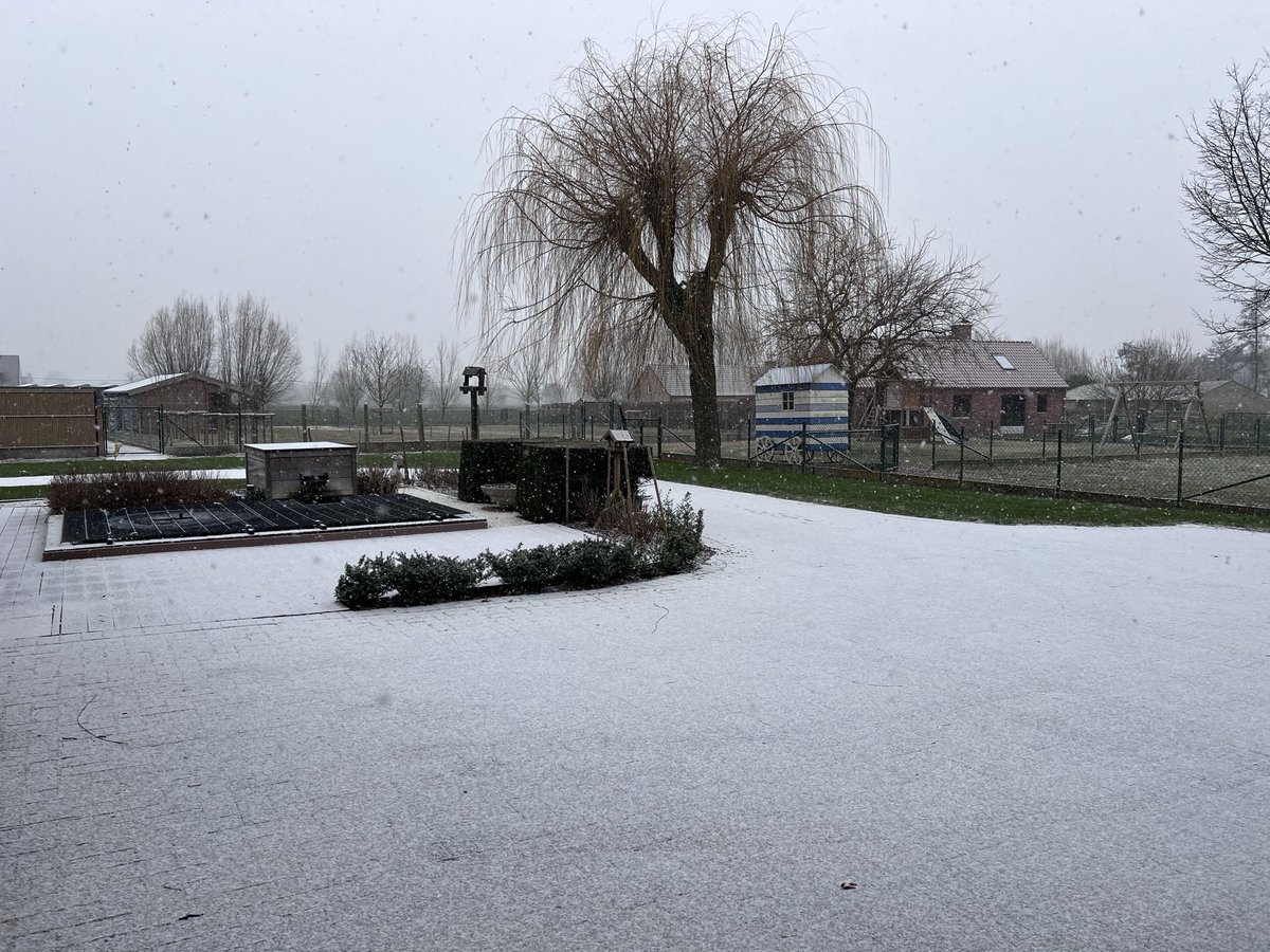 Waregem 12u05 -1 #vrtweer #sneeuw #winter