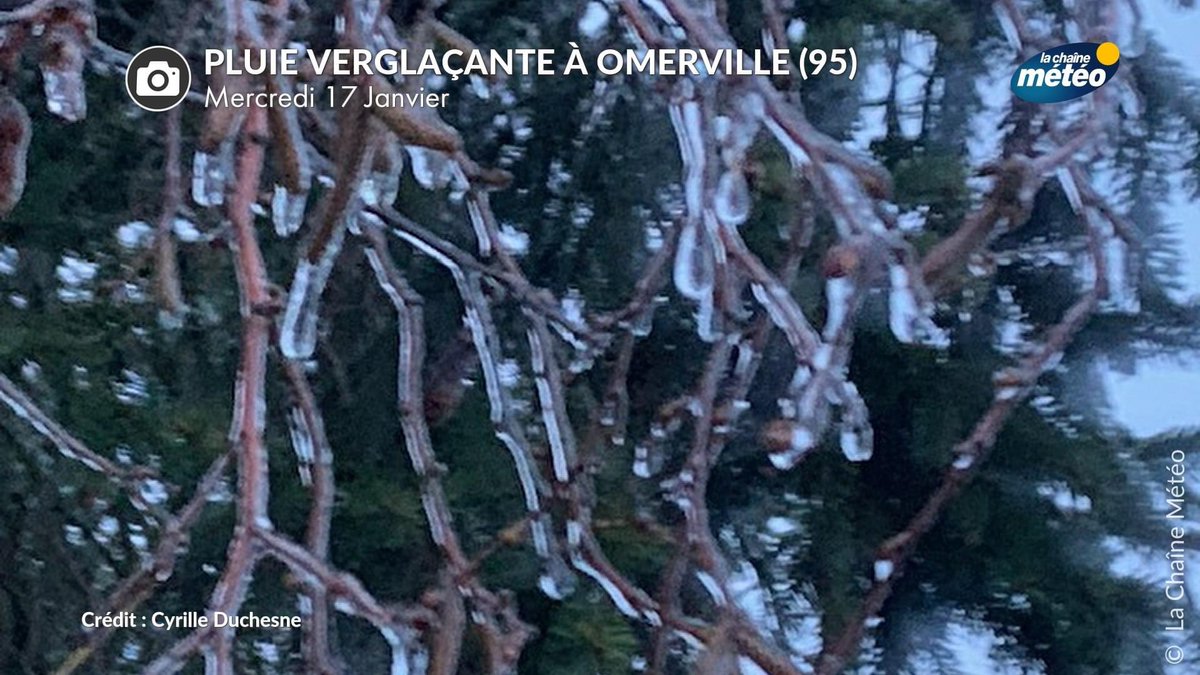 🥶Pluie verglaçante ce matin à #omerville dans le #vexin. Chaussées verglacées et végétation en sucre d’orge. #pluieverglacante