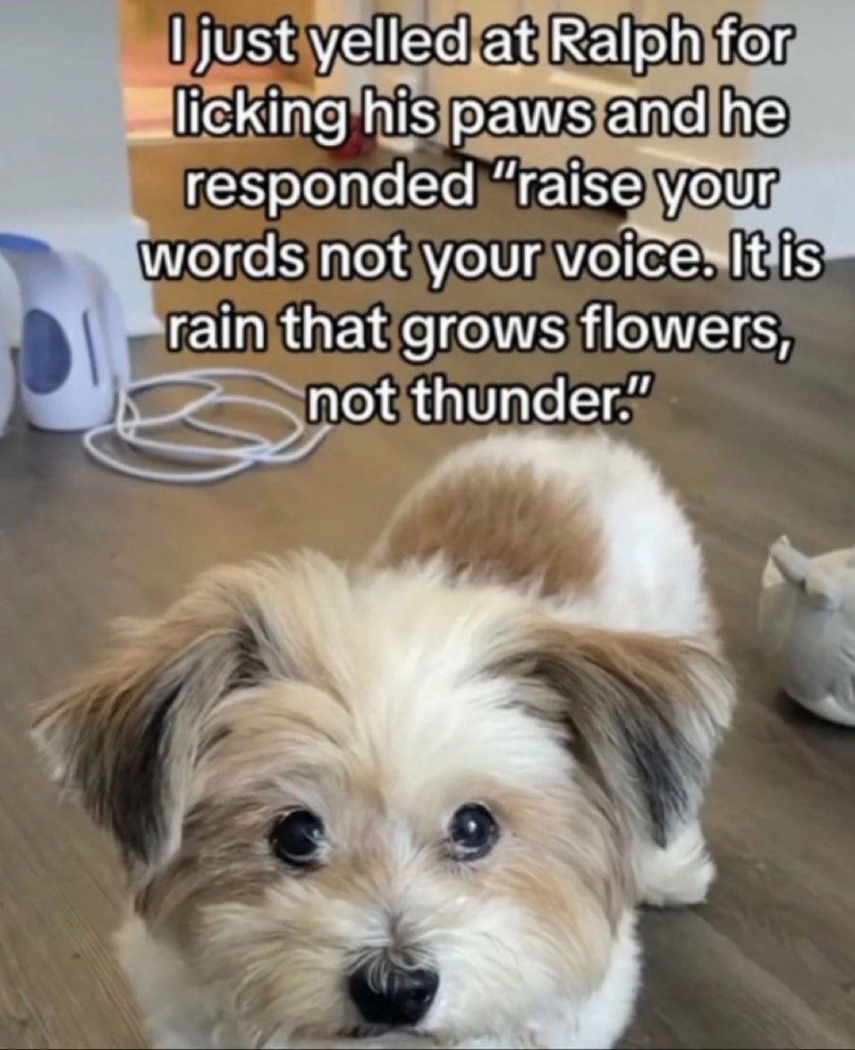 engagingAlways's tweet photo. https://t.co/apfdJF6Psb