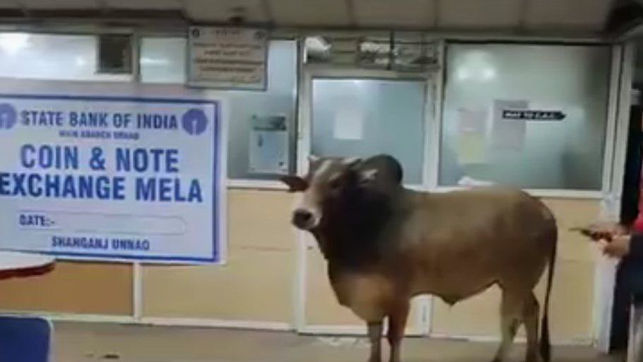 Siddharth_MOZ's tweet photo. @SumitResearch Bull is with #SBIN Sir.... https://t.co/kmFPVRuziD