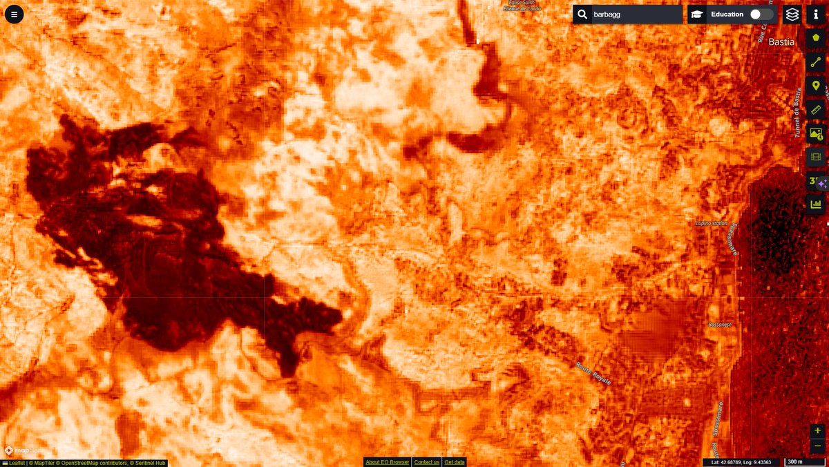 Lilian Vallet 🔥🌳 tweet media