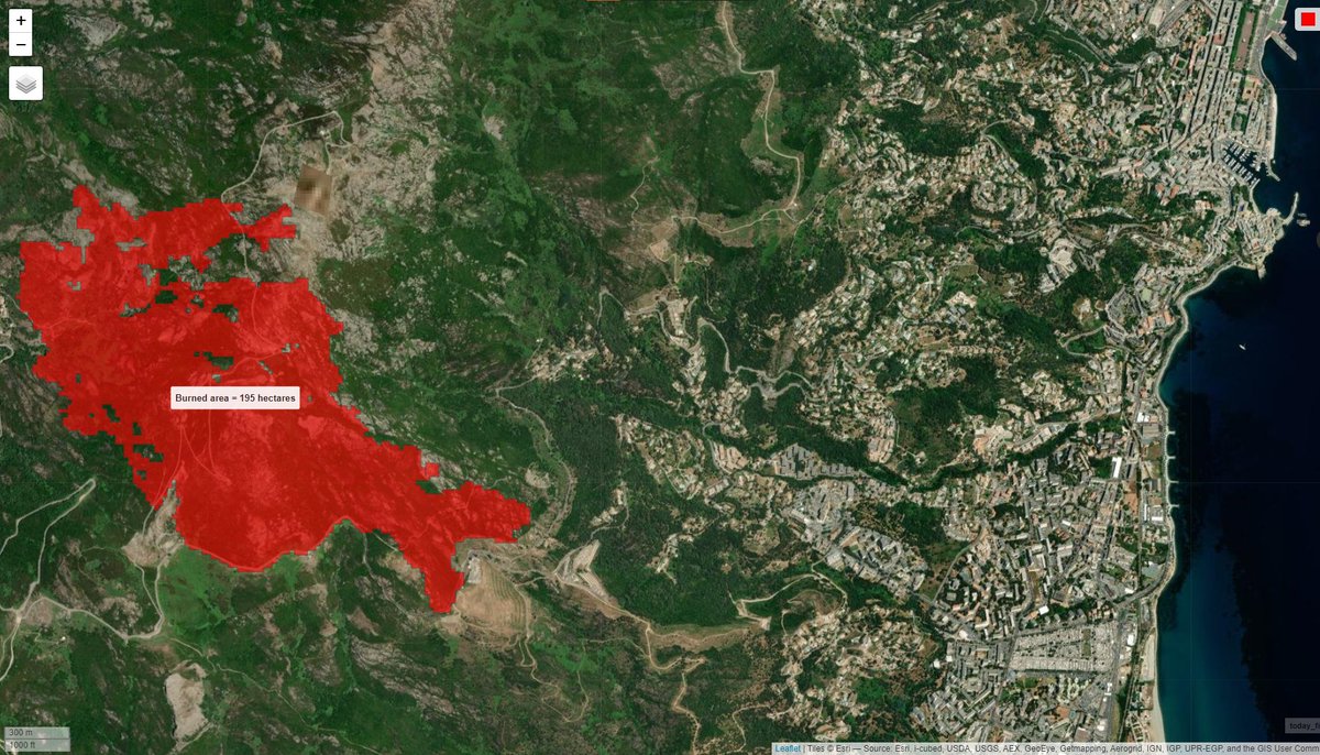 Lilian Vallet 🔥🌳 tweet media