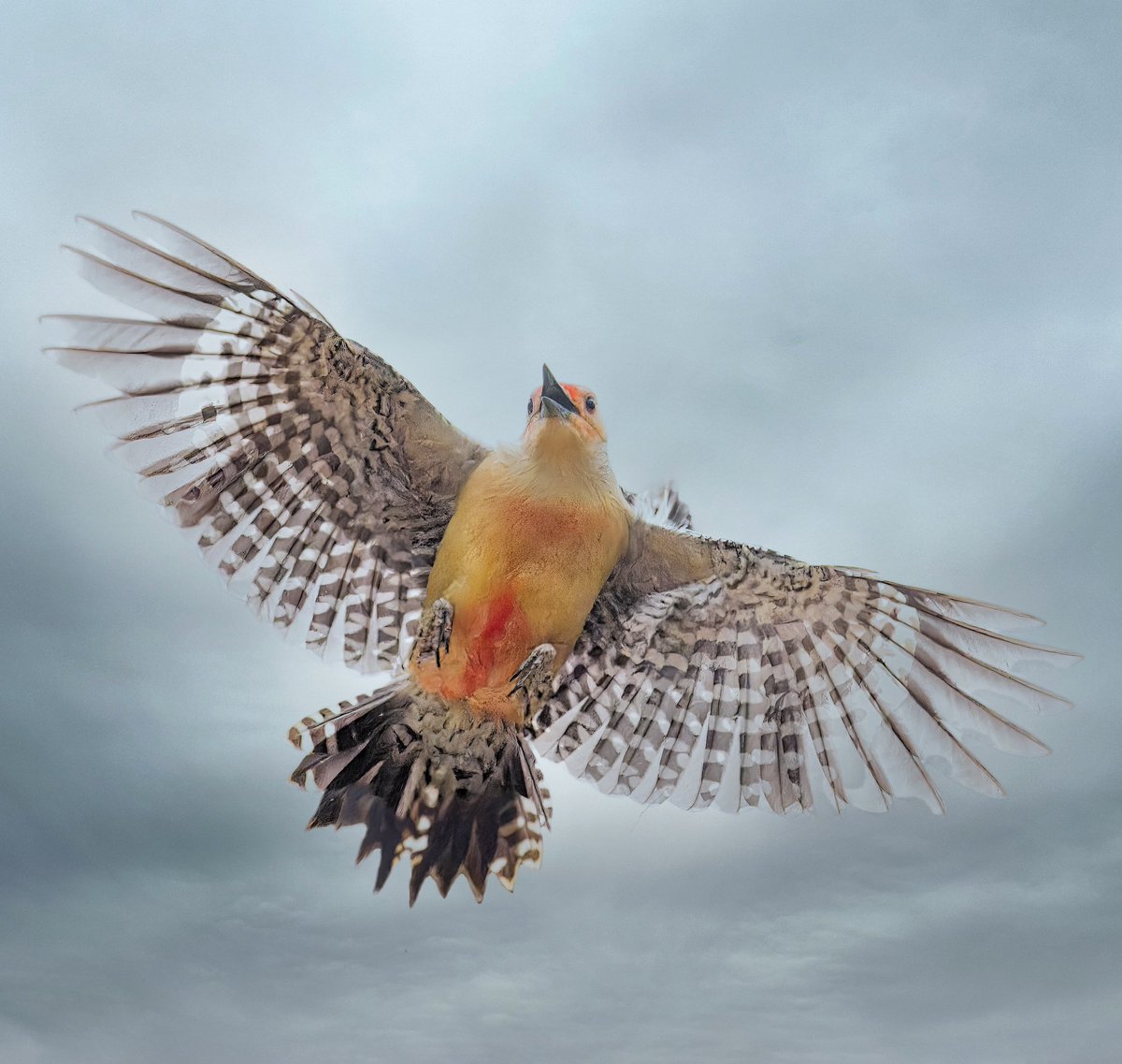 Ruben Giron tweet media