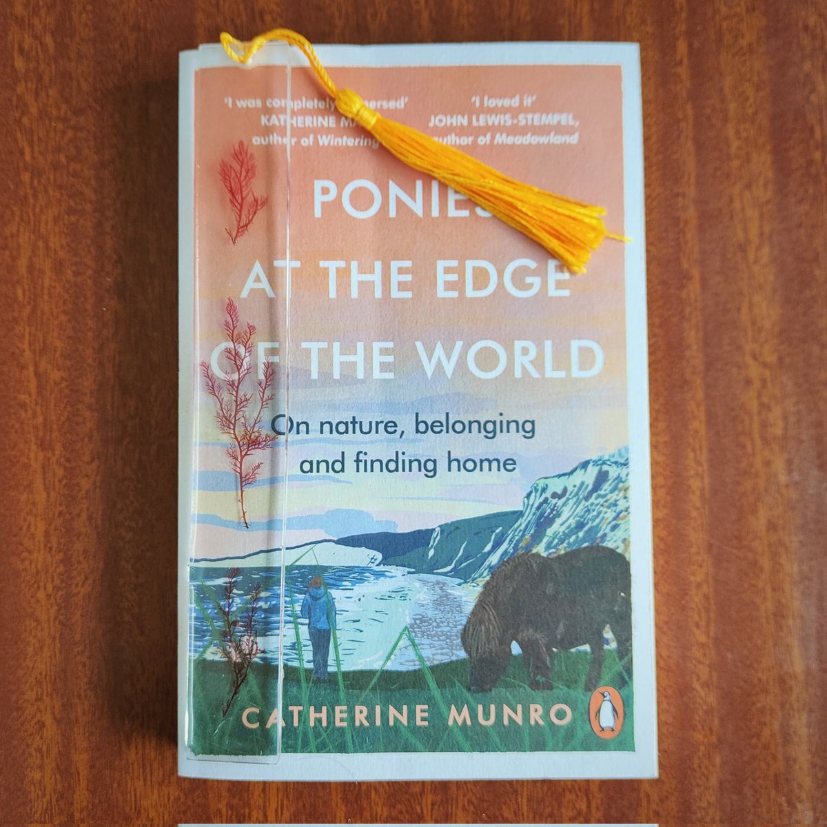 BOOK GIVEAWAY!
To celebrate reaching 20k followers I am giving away 2 copies of Ponies at the Edge of the World with a handmade bookmark. 
The bookmark is made with dried seaweed from Shetland. To enter just like and retweet this post #Shetland