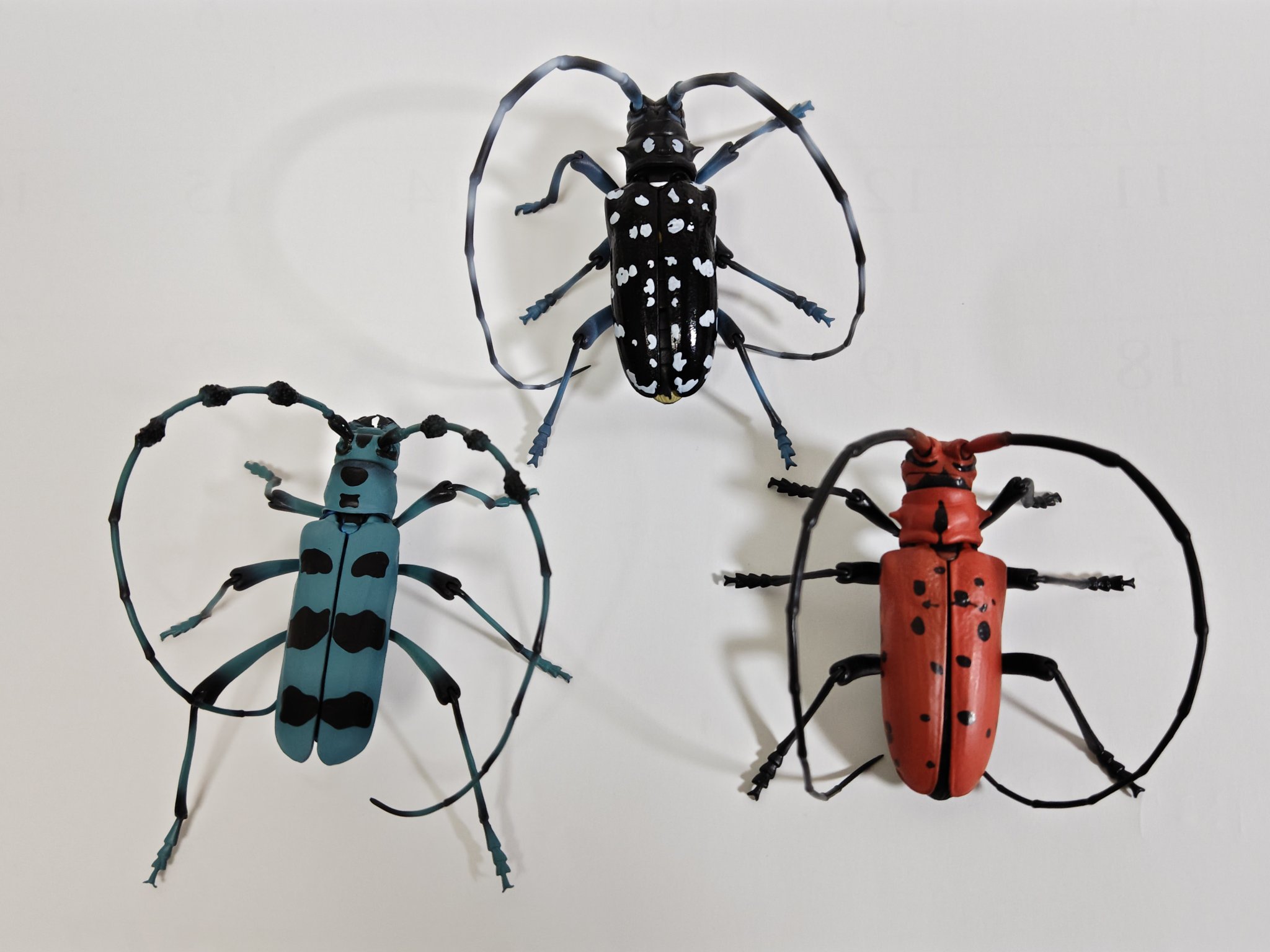 美品　昆虫標本２匹　テナガカミキリ　ケース付き テナガカミキリ [ペア] Acrocinus longimanus 〈Satipo, ペルー