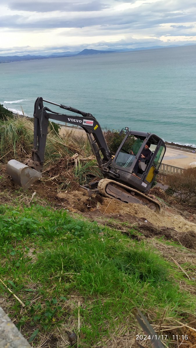 piconlemovice's tweet image. Arrachage des herbes de la #Pampa à #biarritz @Ville2Biarritz  #cotedesbasques #ocean #invasive