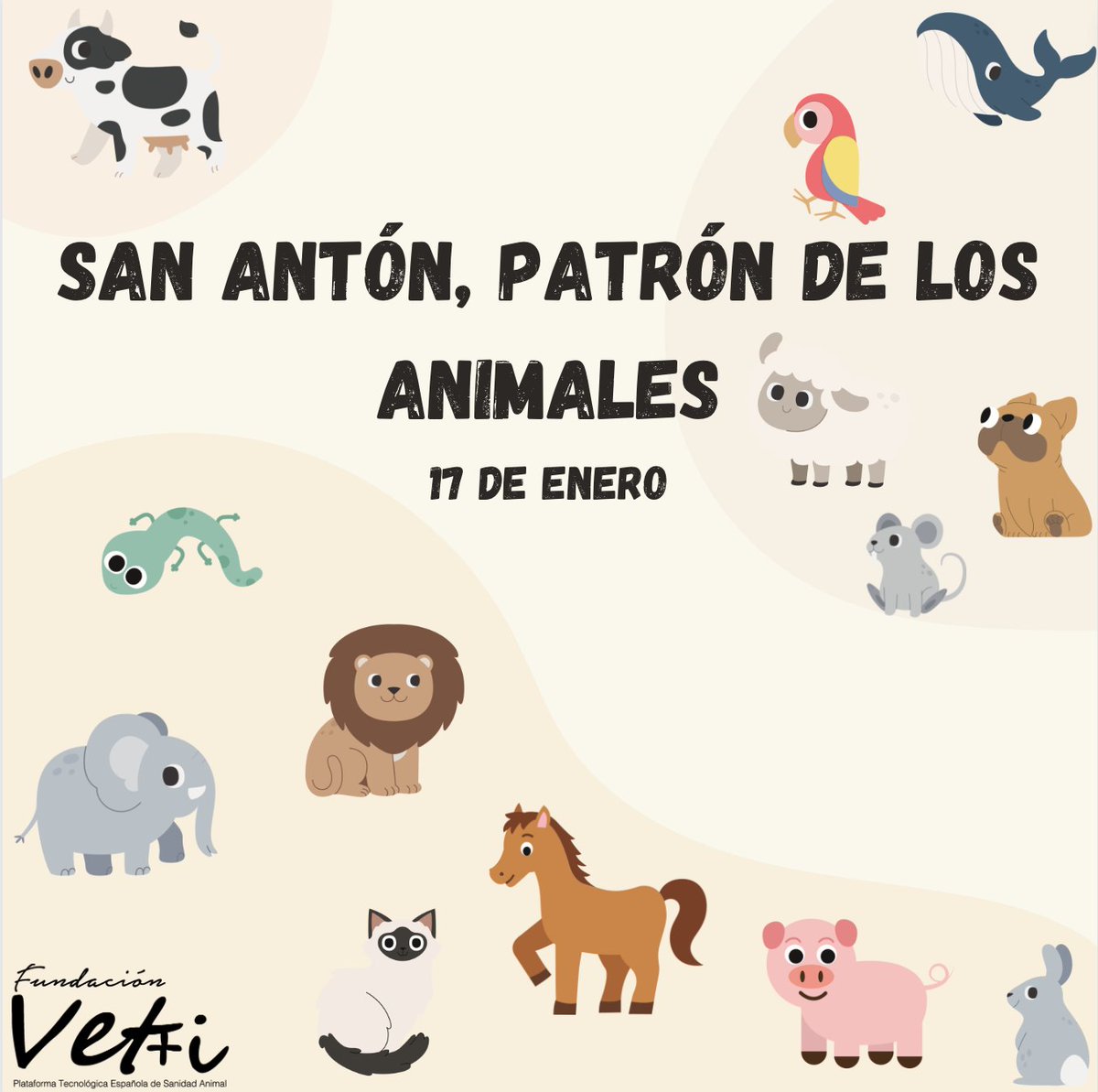 Fundación Vet+i tweet media