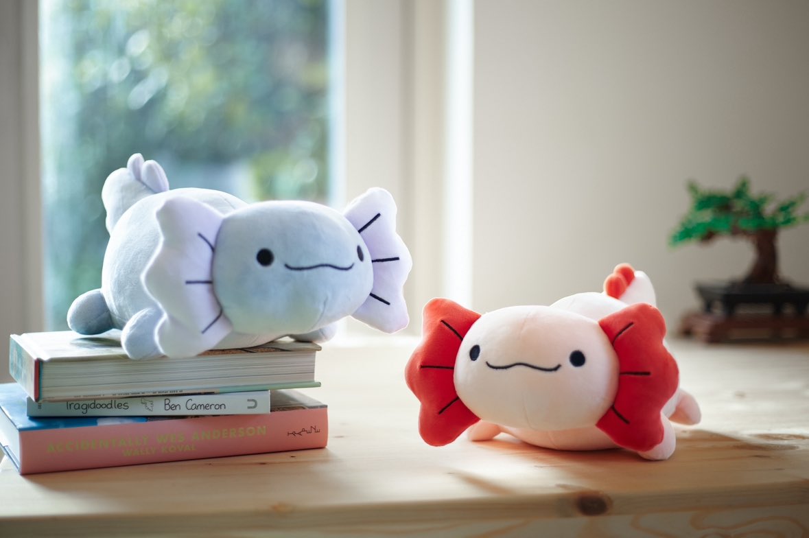 Axolotl plushie! The perfect little pal for squishy cuddles. What a comfort they are, all plump and smiley and being cute.

Now available in two colours (the lilac also glows in the dark!)

higglebees.etsy.com