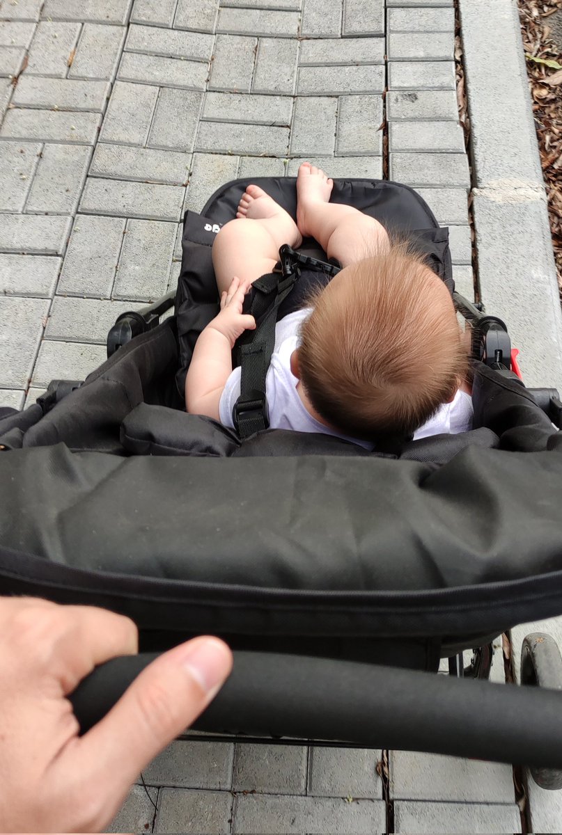 Kleber | STEPN 🏃🏼‍♂️⚡️ tweet media