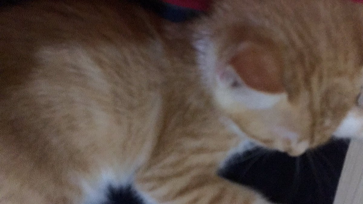 ★★☆.✟͙̊✰✰✰⁎̩͙❨ྐᖭི (@vannyvanri) on Twitter photo 