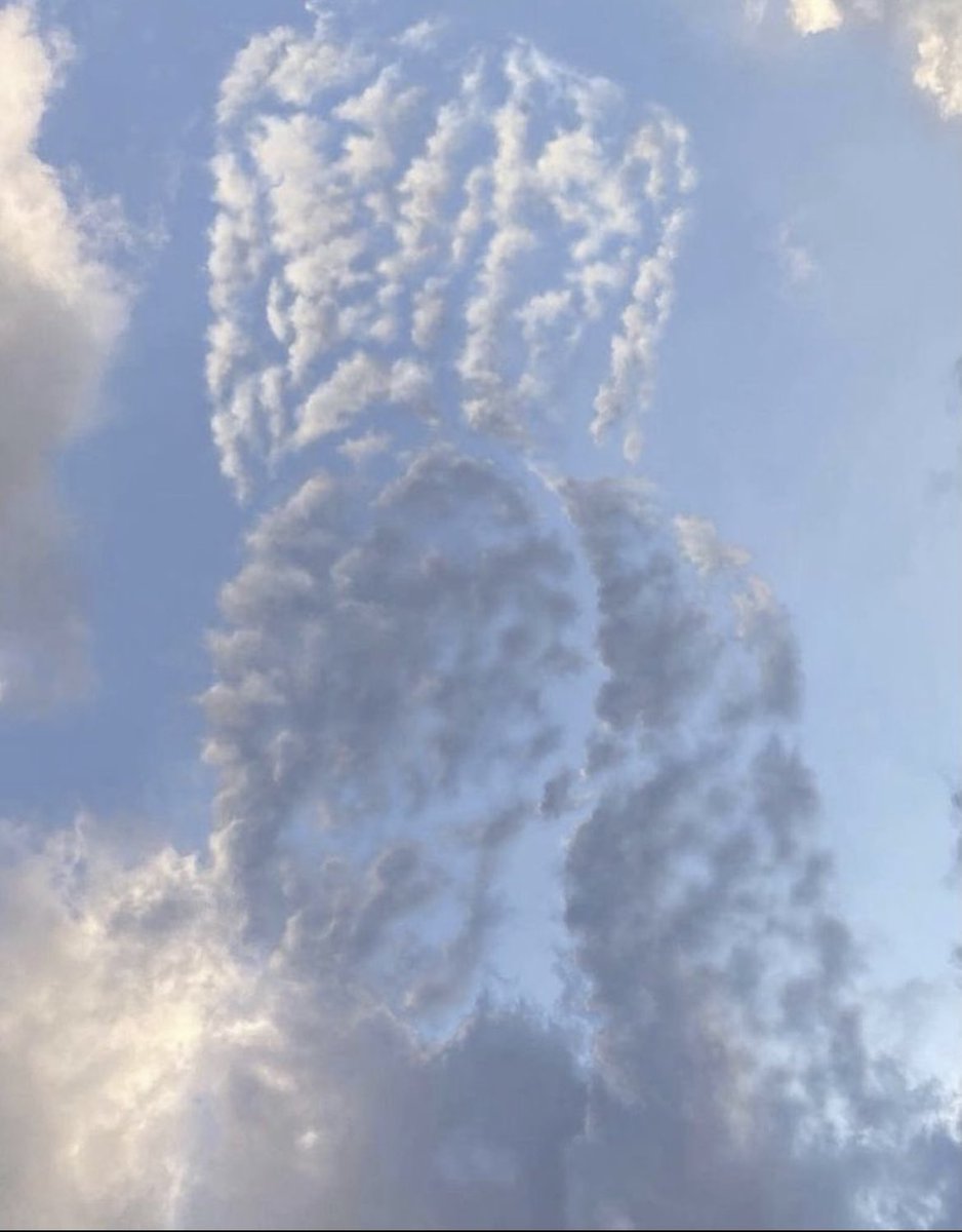 حد يشيل الغيمه ذي الواحد على اخره