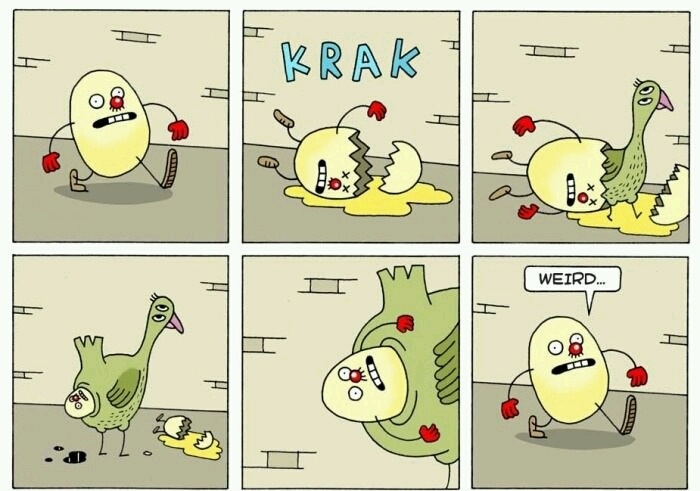 krakbrc20's tweet photo. We are #Krak for #BRC20 Based #memecoin https://t.co/QwivgQdZLG