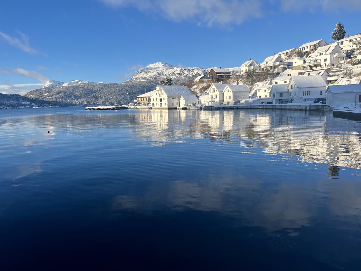 Esther Moe tweet media