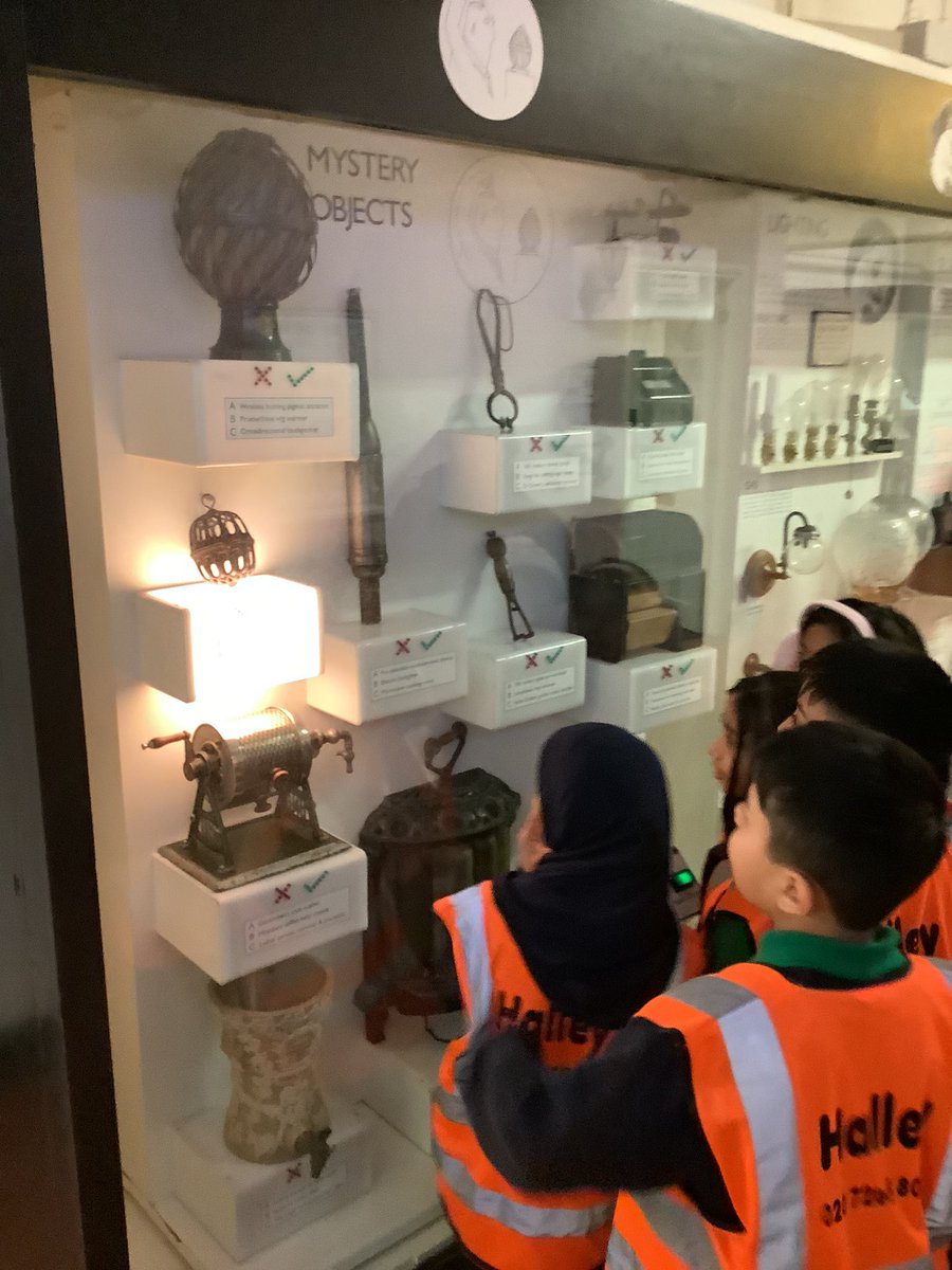 Halley Year 4 tweet media