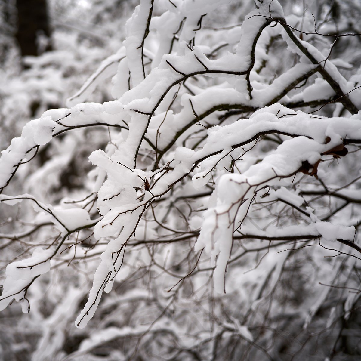 Due to inclement weather, the Montclair Art Museum is closed to the public and all Wednesday classes are canceled.