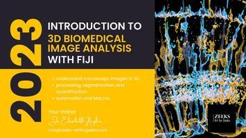 KuglerElisabeth's tweet photo. This week!
Our "Basic Introduction to 3D Biomedical Image Analysis with Fiji" online course.
You can still register here: https://t.co/GfURAPHyoO
Places are limited!
#imageAnalysis #BIAnalysis #dataScience #imageProcessing https://t.co/Ix7DrmiYcc