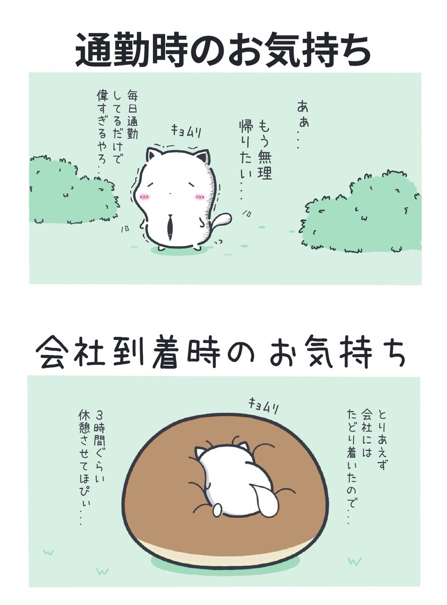毎朝の我々