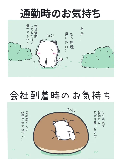毎朝の我々