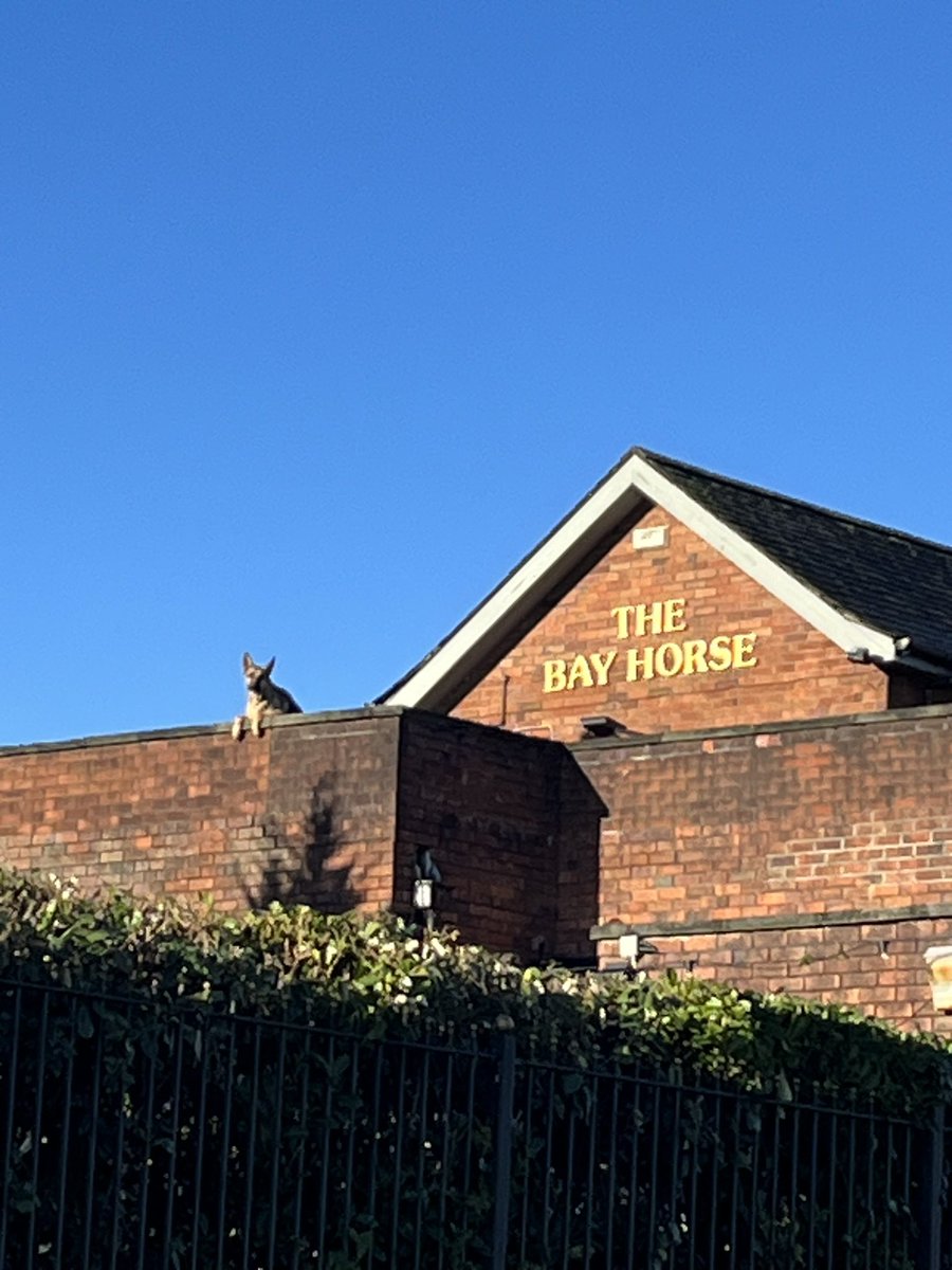 Ring doorbell not required