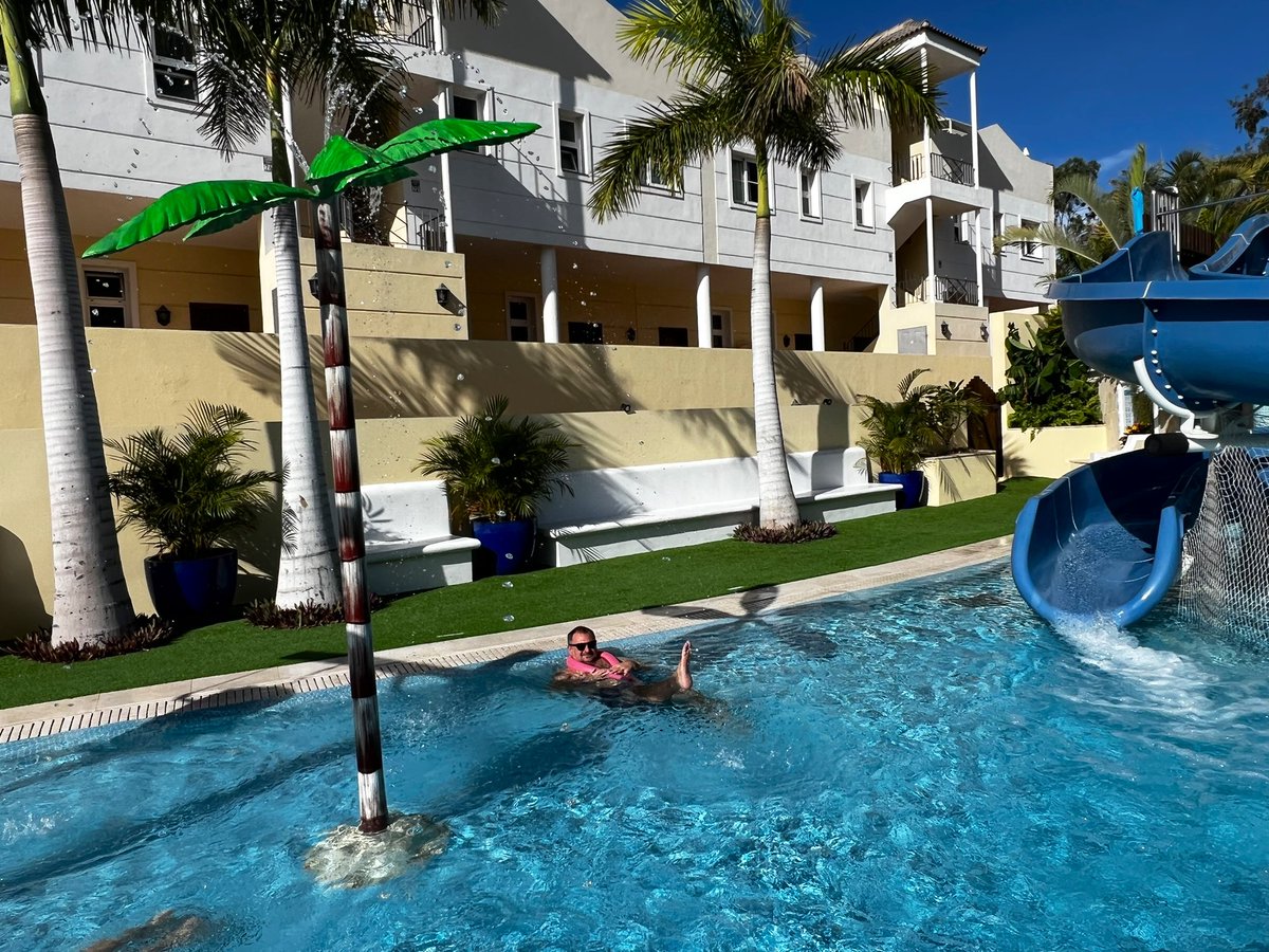 Alberto Alonso 🇺🇸🇪🇸 tweet media