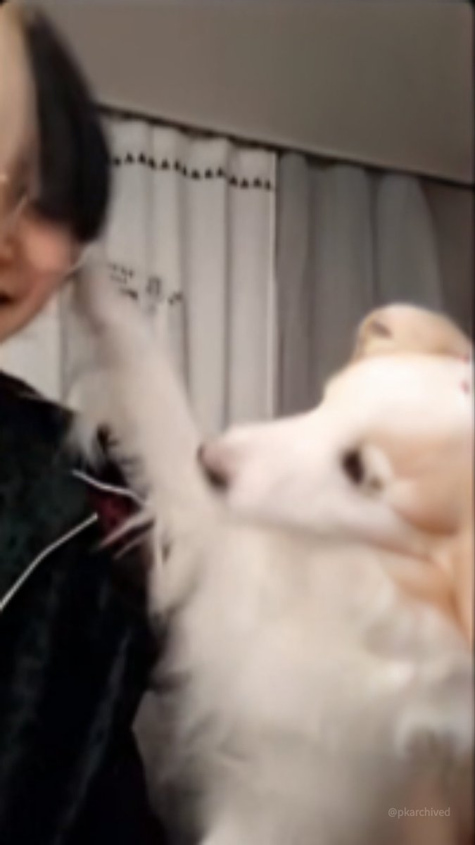 pkarchived's tweet photo. 은우 @ '벨라, 벨라와 시에나의 라방' 240111
Leo as a guest...
#PK #eunwoo #parkeunwoo #박은우 #은우 #피케츄 #sgf2 #babyjamrepublic #jamrepublictheagency #teamjamrepublic #pkarchived https://t.co/uxI7aOsSA6