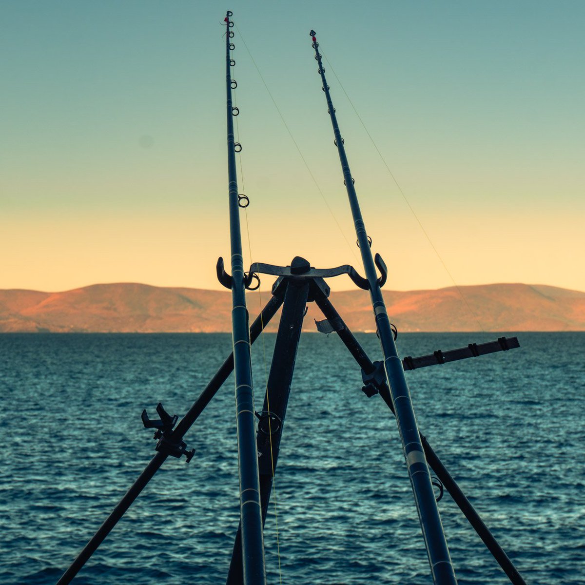 Irish_Angling_Adventures tweet media