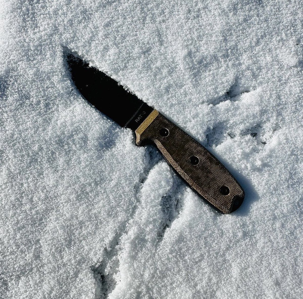 OntarioKnife's tweet photo. The #RAT3 loves to play in the snow! Stay Sharp, Stay Prepared! 👌🏽🔪🐀 
#LegacyAdventureExplore 
#ontarioknifecompany #ontarioknife #ontarioknives #ontarioknifeco #OKC1889  #hunting #camping #hiking #outdoors #tools #gear #quality #bushcraft #survival #tactical #knife #blade https://t.co/62AhTDFDFu