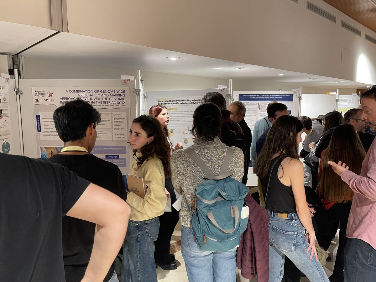 sesbe_meetings's tweet photo. Diverse, and full of new ideas; the first poster session of #SESBE2024 is on fire 🔥 https://t.co/6Lx6V89iFq