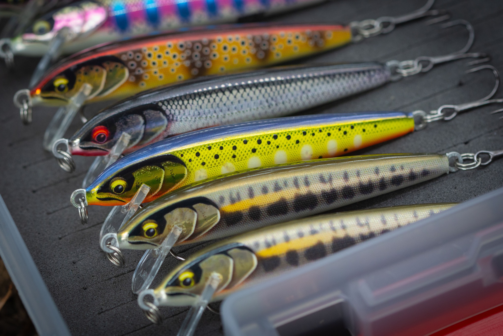 FISH TV on X: Time for you to add the Rapala Floater Elite into your tackle  box. #rapala #lure #rapalalures #floaterelite85 #FE85 #rapalafishing # fishing #memancing  / X