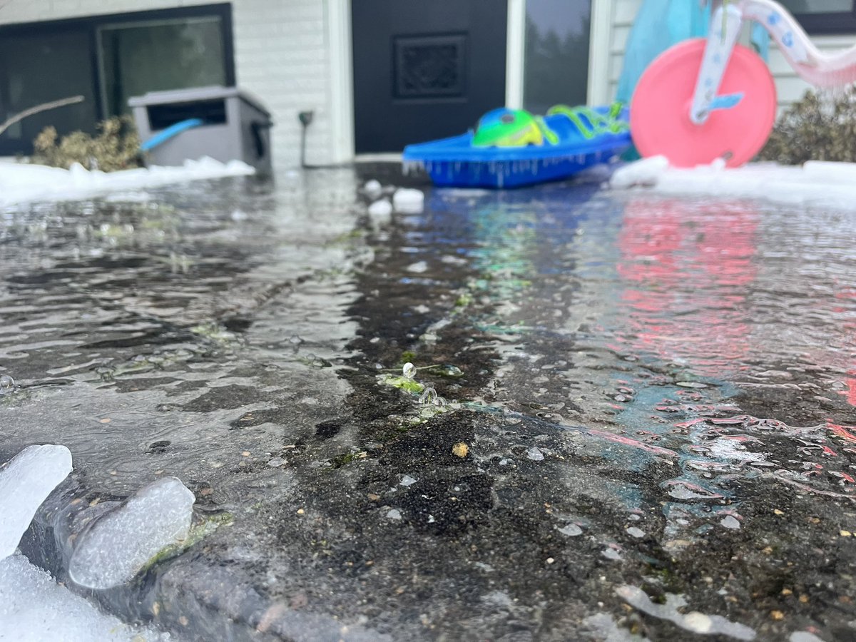 lisakriederman tweet media