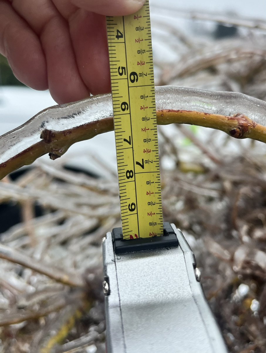 lisakriederman tweet media