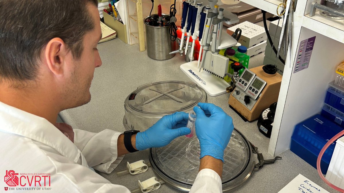 Science in action! 🔬💪
@joevisker from the @StavrosDrakos lab prepares heart cells for #ischemiareperfusion injury in a hypoxia chamber.

@UofUInternalMed
@UofUMedicine
@UtahHealth
@UofUResearch

#cardiovascularresearch #cardiovascularhealth #heartdisease #utah