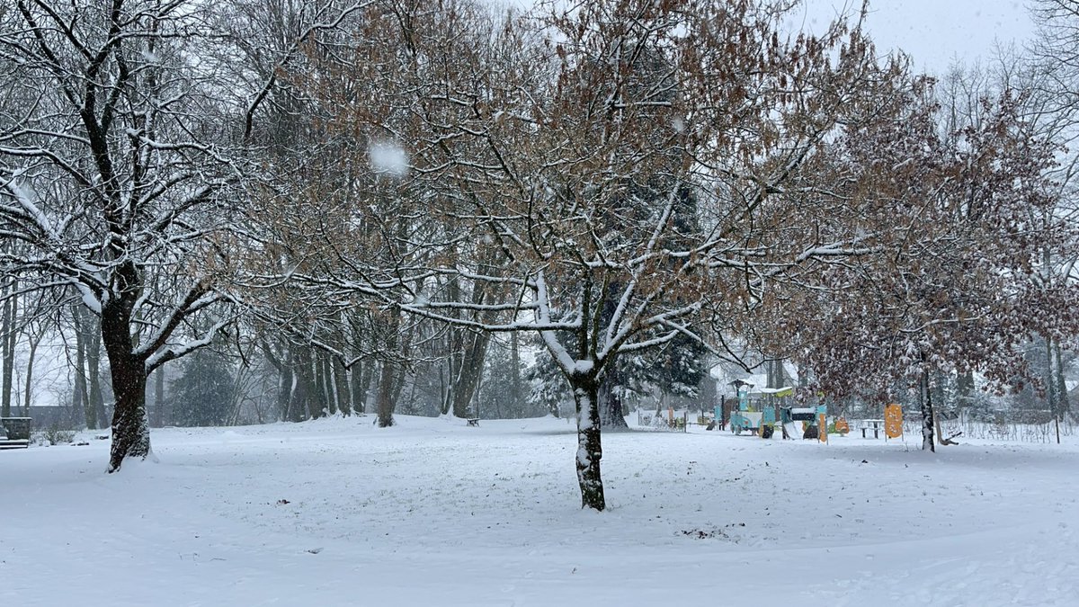 Jvrdxnn's tweet photo. ❄️ 🌨️ #Lessines #Belgique https://t.co/TQR1QQbbs4