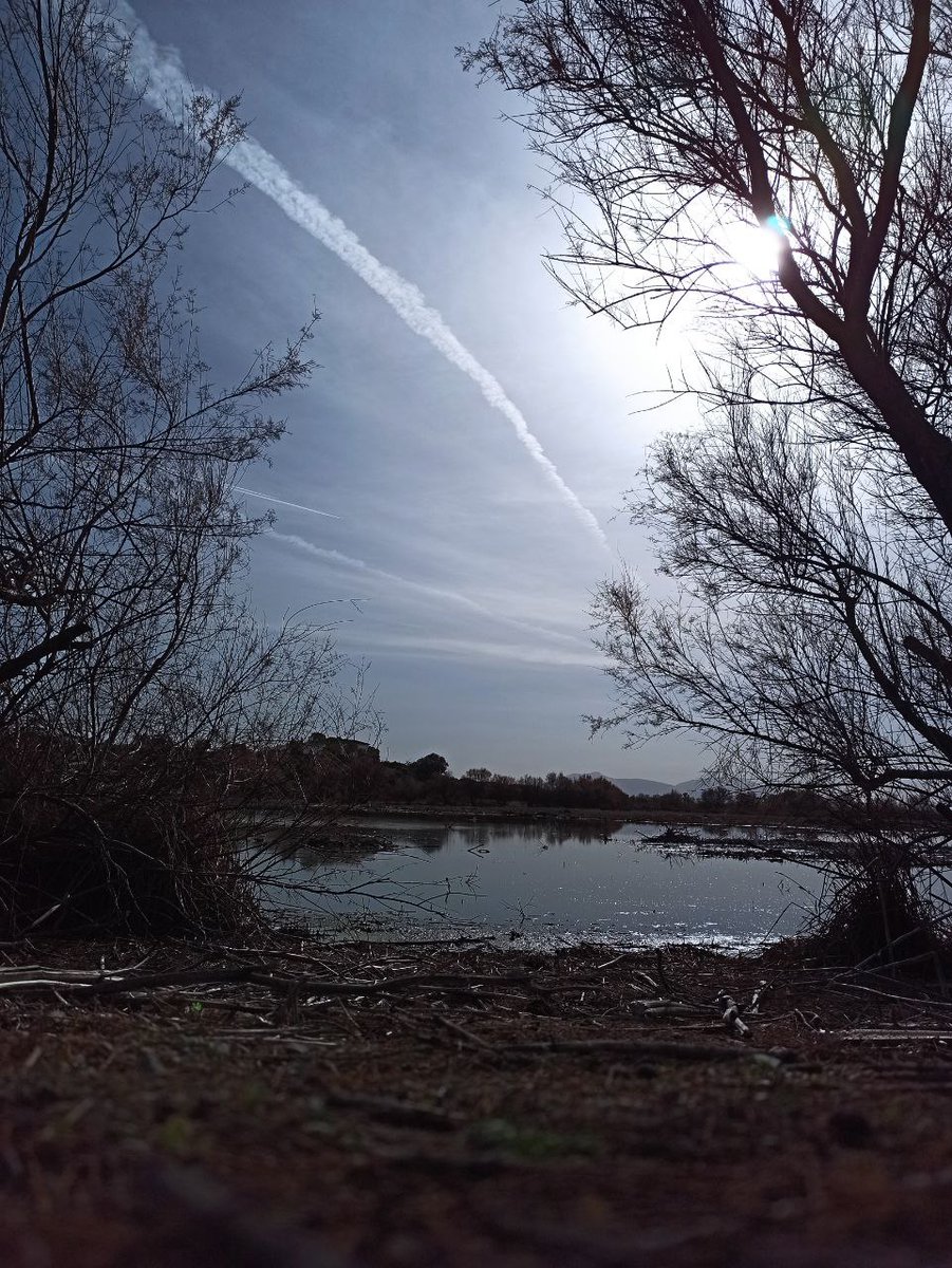 Laguna de Fuente Piedra #antequera