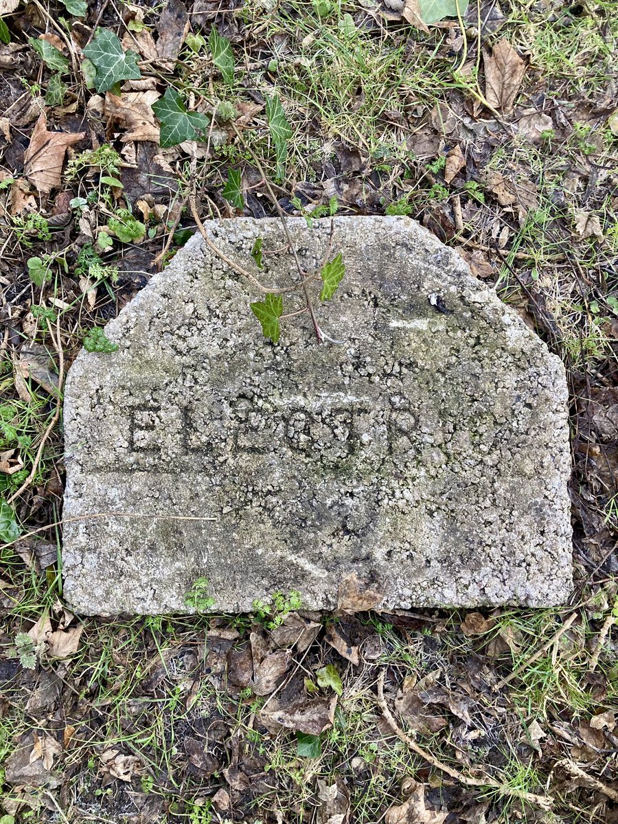 Friends of Dalry Cemetery tweet media