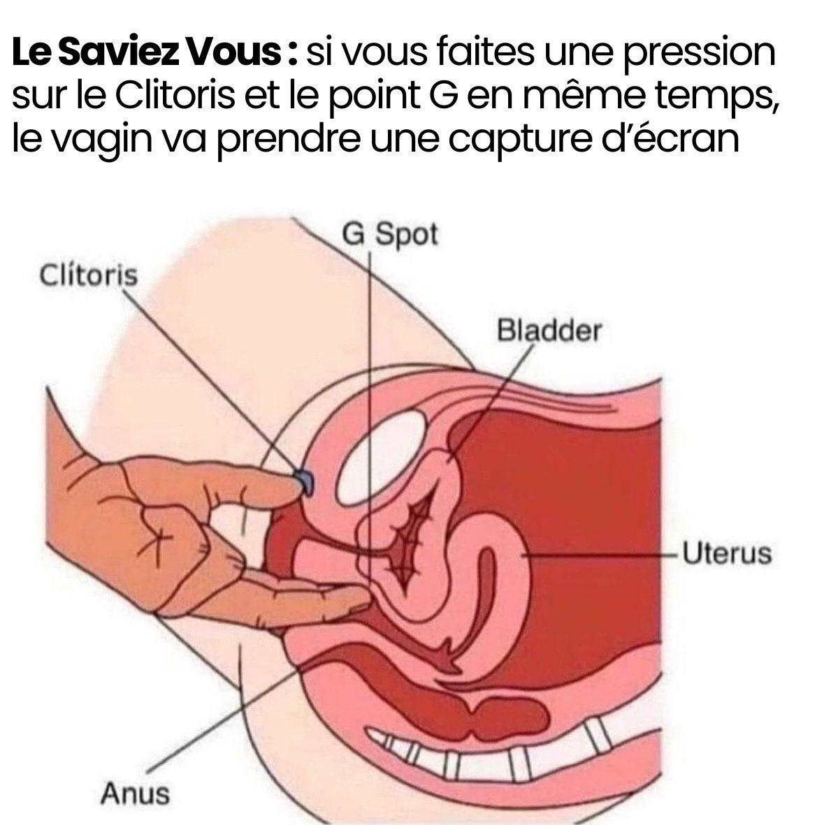 BLAGUE COQUINE tweet media