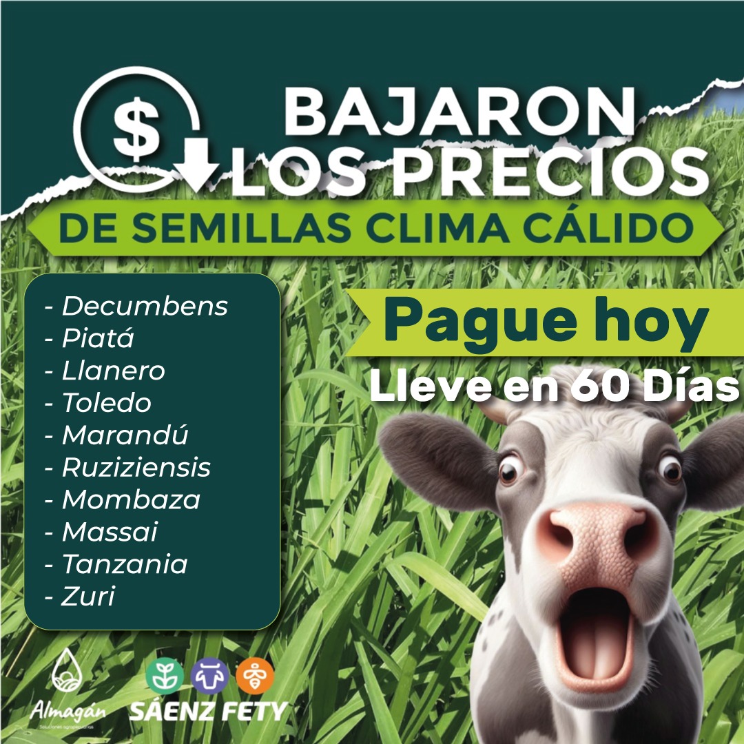 ‼️Almagan llega al 2024 recargado‼️

Bajaron los precios de semillas de clima cálido 🌽🍃

Pague ahora y llévelo en 60 Días 😱😱

Comuníquese a WhatsApp o llamando al 315 4153266 

#Ganado #Semillas #pasturas #Fedegan