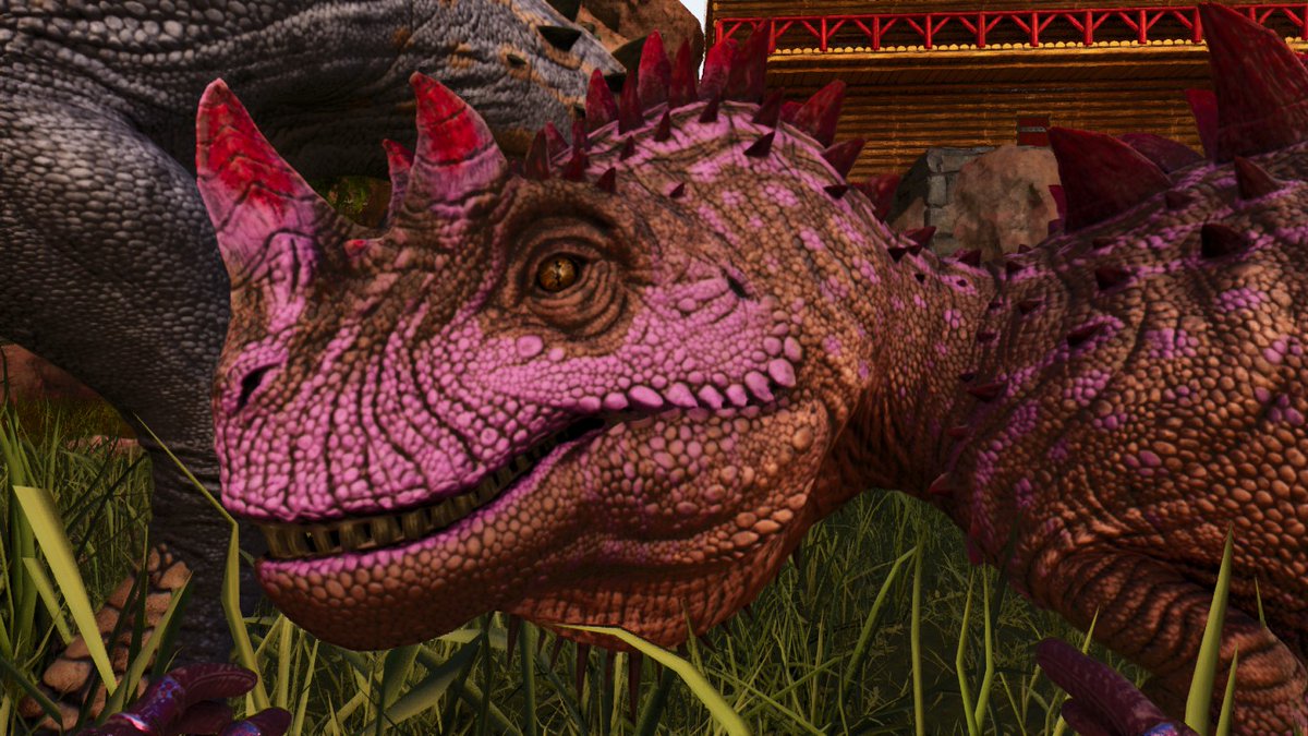 Dynamite_Skye's tweet photo. The cerato is so cool! Such a cool addition to #AscensionGaming #cluster Thank you @HandsomeMatt1 for adding the mod and thank you Garuga for your hard work!

https://t.co/4qH0f5M7tK 

 @survivetheark #PlayARK #ArkSurvivalAscended #ASA #Xbox #PlayStation #Steam #modded https://t.co/nQs8sCYv8i