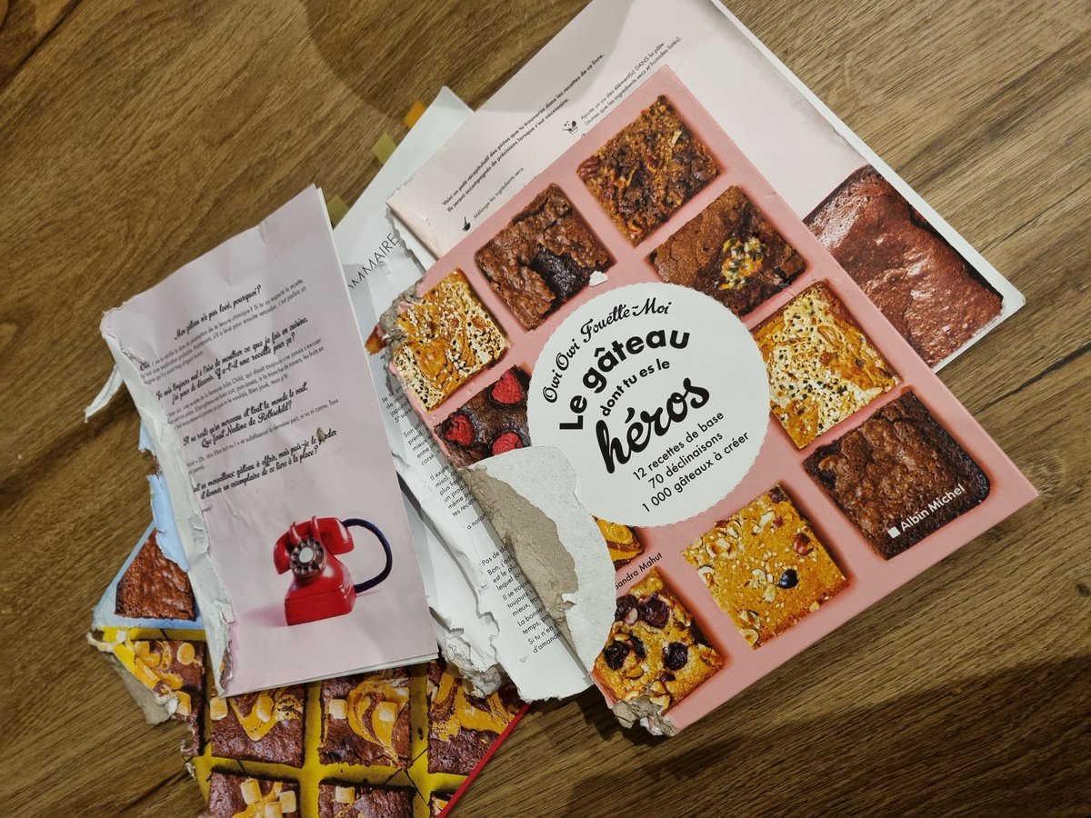 melcodec's tweet image. Je ne suis que tristesse...mon chien a un peu trop adoré le livre de @Owiowiiii 😖 
sûrement dû à un peu trop de chocolat, beurre, crème et autre bonnes choses restées collées entre les pages... 😭