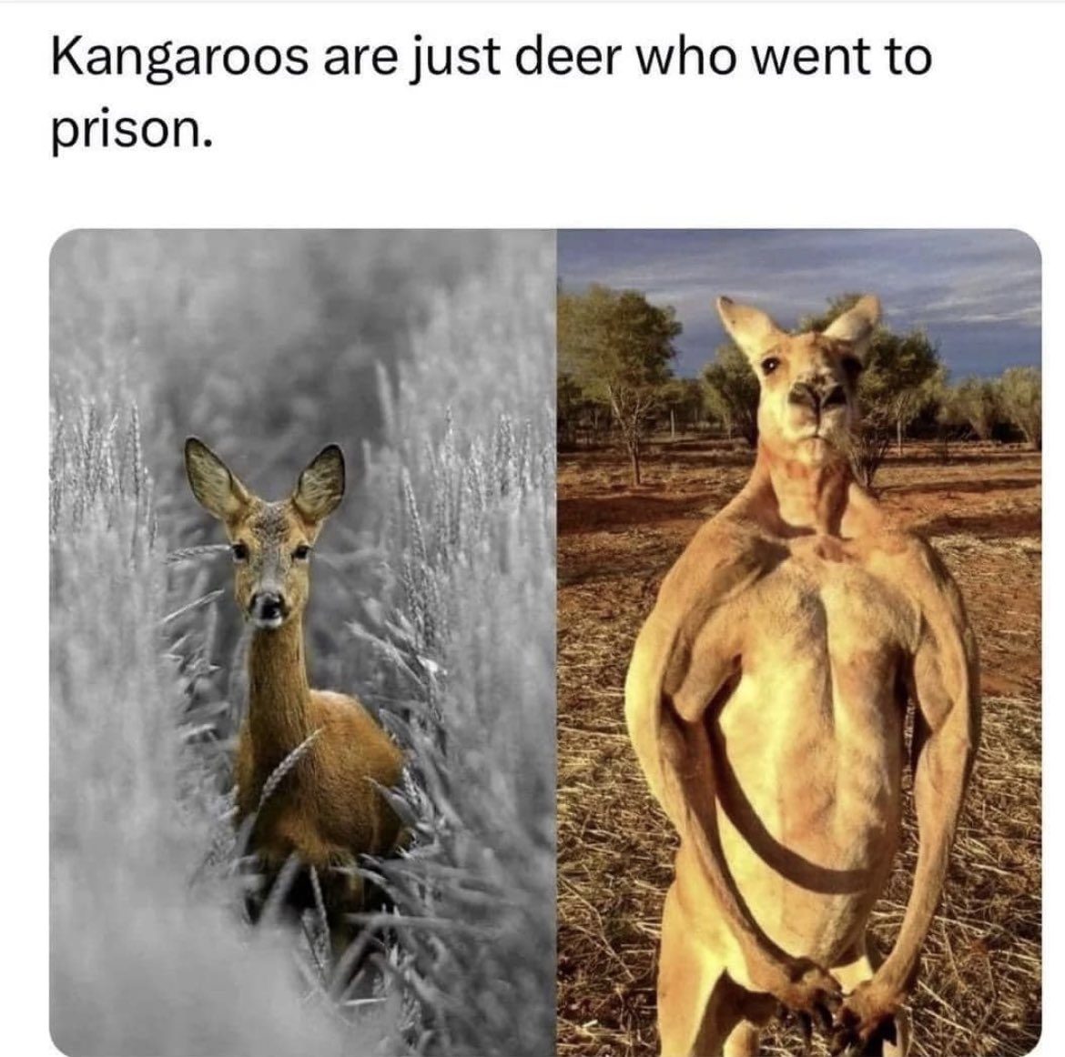 I see it.  🤷🏼‍♀️🤣🤣