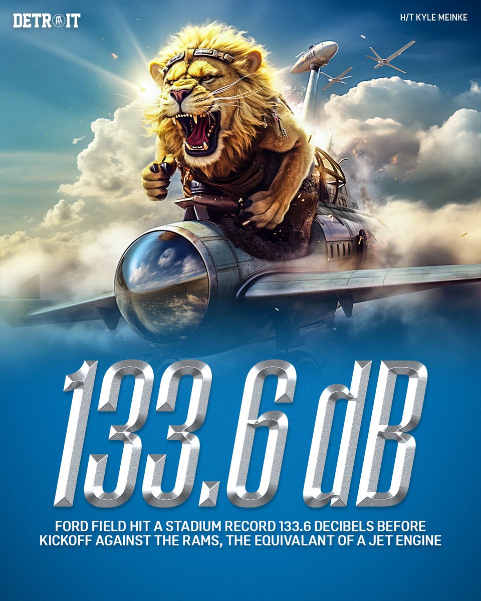 BSMotorCity's tweet photo. Lions fans are the best

#AllGrit https://t.co/u2bj8syjiK
