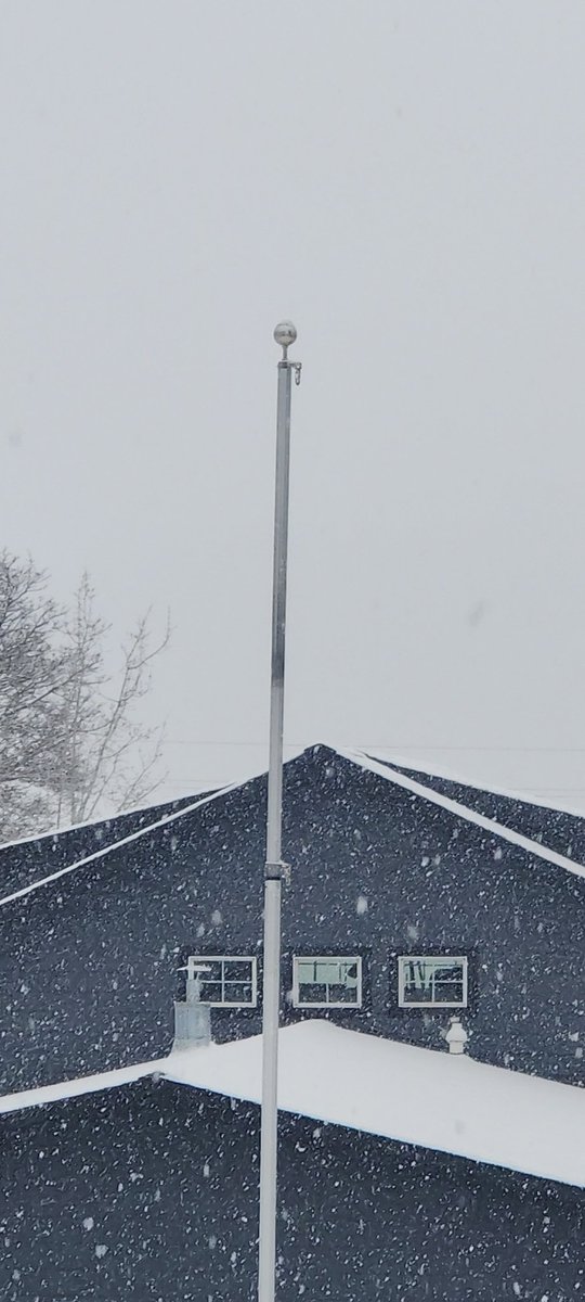 Matt Allen tweet media