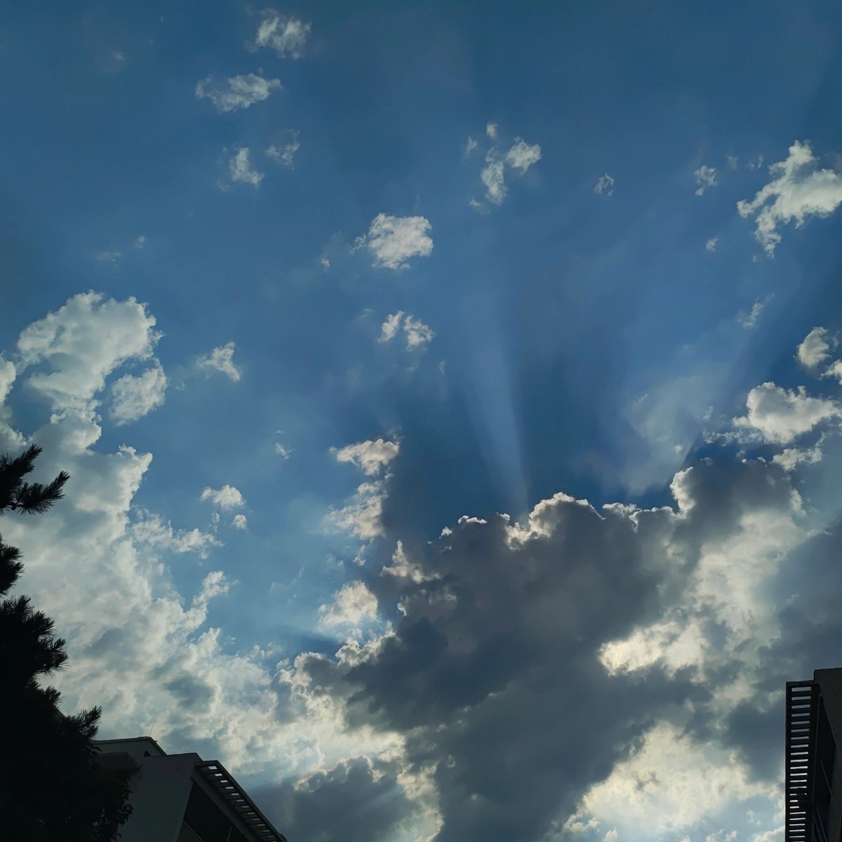 Sleesheat (@sleesheat38580) on Twitter photo 